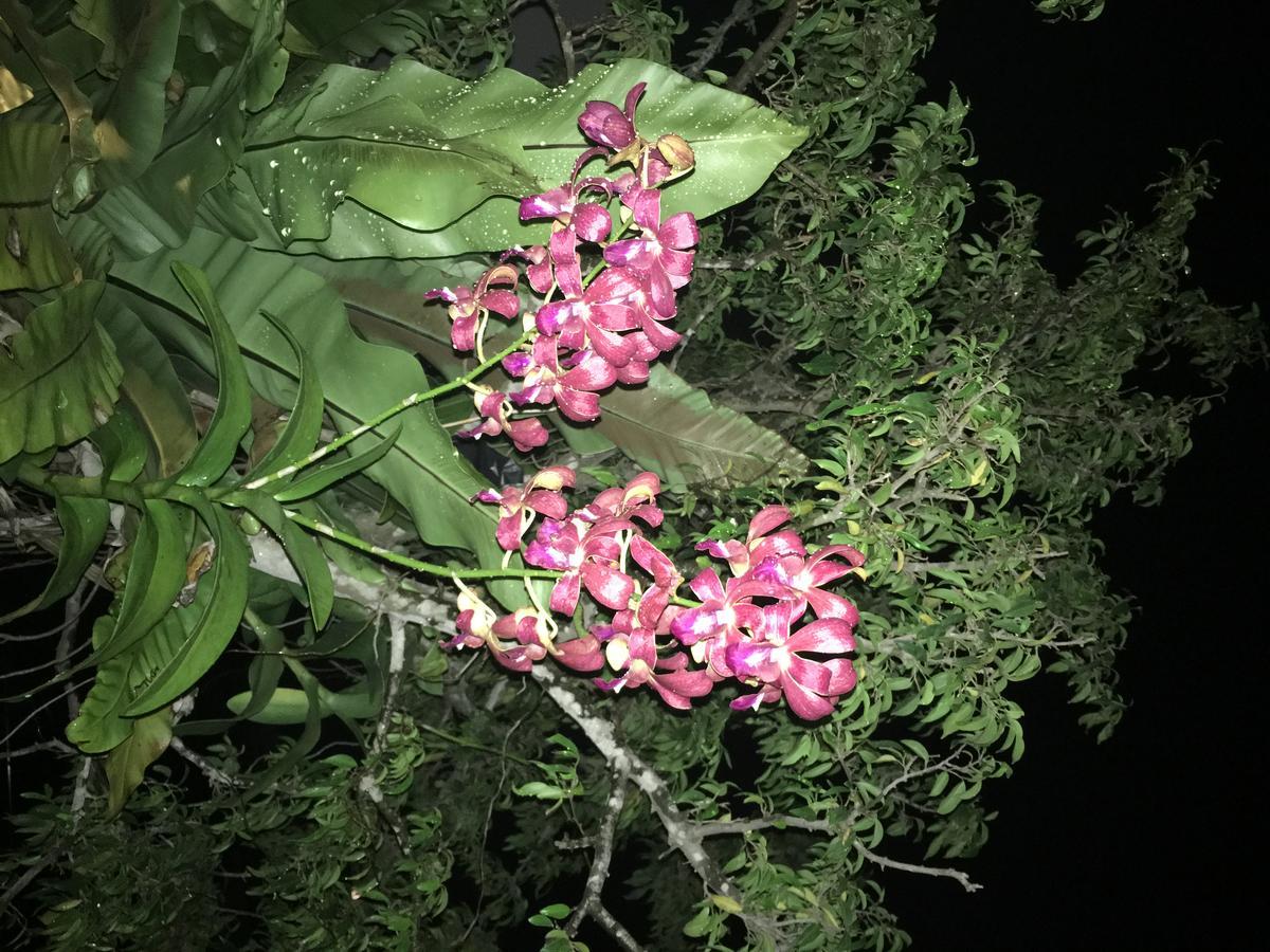 فندق سيلفكريس 3*